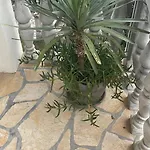 1 Apartamento *