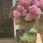 Apartamento 1 Bibinje
