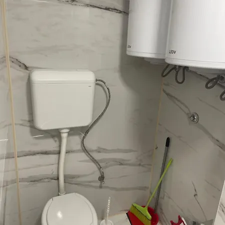 1 * Bibinje