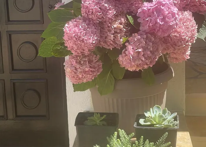 아파트 1 비빈제